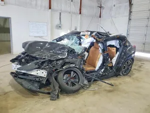 2024 LEXUS UX 250H P