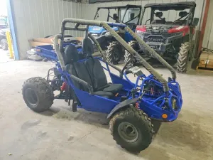 2000 GO GO KART