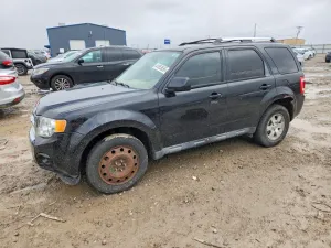 2010 FORD ESCAPE