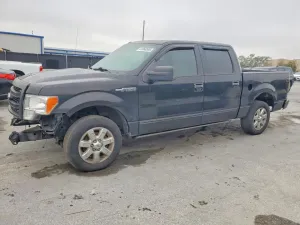 2010 FORD F150