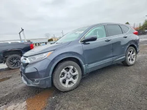 2019 HONDA CRV