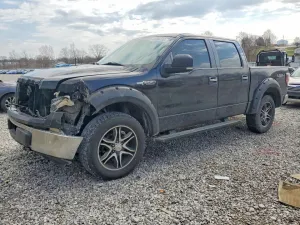 2009 FORD F150