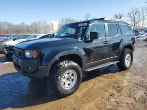 2025 TOYOTA LAND CRUIS