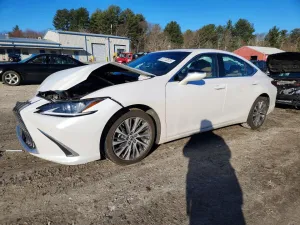 2019 LEXUS ES350