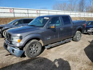 2012 FORD F-150