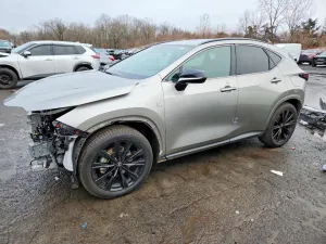 2025 LEXUS NX 350