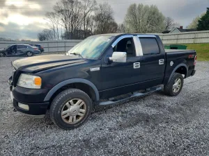 2004 FORD F-150