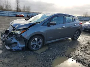 2019 NISSAN LEAF