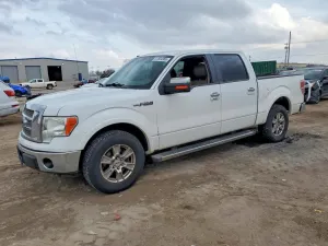 2010 FORD F150