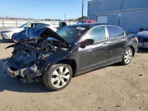 2010 HONDA ACCORD