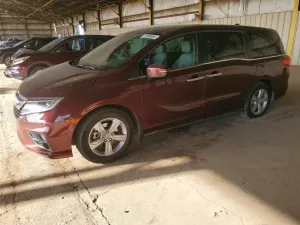 2019 HONDA All Models