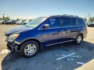 2005 HONDA All Models