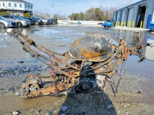 2024 CF MOTO ALL OTHER