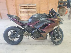 2021 KAWASAKI EX650 N