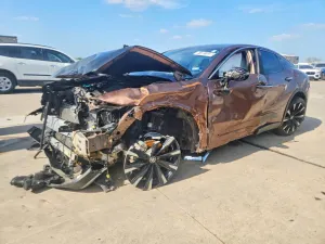 2023 TOYOTA ALL OTHER