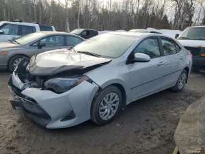 2019 TOYOTA COROLLA
