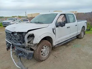2024 FORD F150