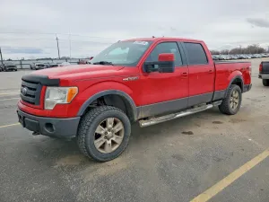 2009 FORD F-150