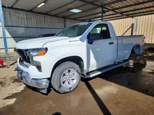 2025 CHEVROLET SILVERADO