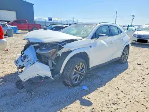 2023 LEXUS UX 250H F