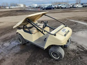 2010 UNKN GOLFCART