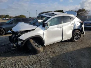 2024 LEXUS NX 350H BA