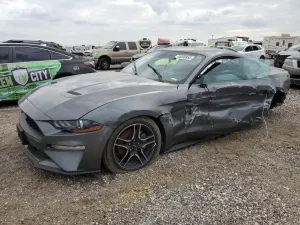 2023 FORD ALL Models