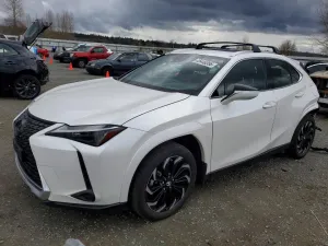 2023 LEXUS