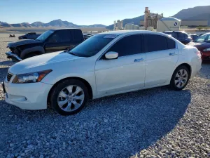 2008 HONDA ACCORD
