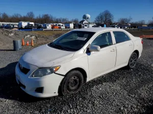 2010 TOYOTA COROLLA