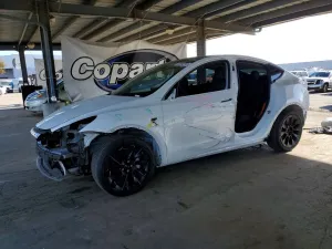 2020 TESLA MODEL Y