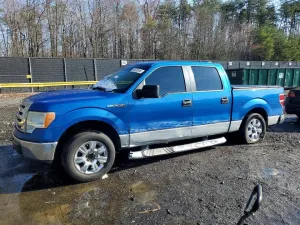 2009 FORD F-150 REGU
