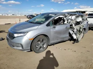 2021 HONDA All Models