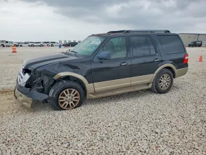 2010 FORD EXPEDITION