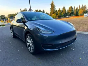 2021 TESLA MODEL Y