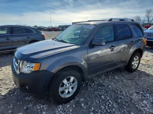 2010 FORD ESCAPE
