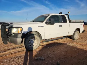 2010 FORD F150
