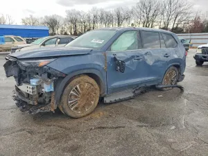 2024 TOYOTA GRAND HIGH