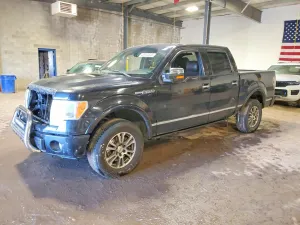2010 FORD F150