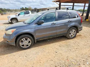 2010 HONDA CRV