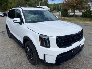 2025 KIA TELLURIDE