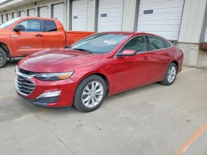 2019 CHEVROLET MALIBU