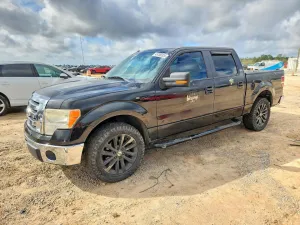 2010 FORD F150