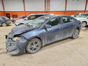 2019 TOYOTA COROLLA