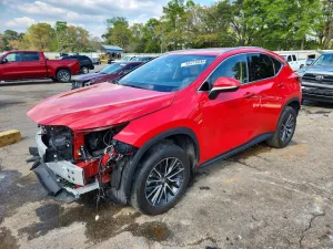 2024 LEXUS NX