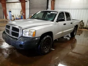 2006 DODGE All Models