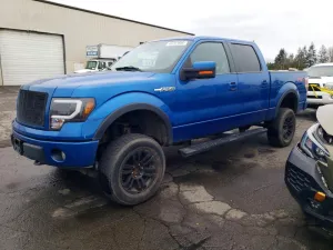 2010 FORD F150