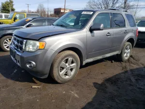 2009 FORD ESCAPE