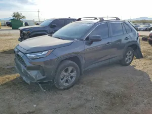 2024 TOYT RAV4 LE HY