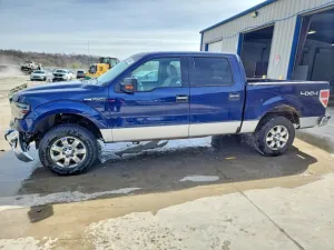 2010 FORD All Models